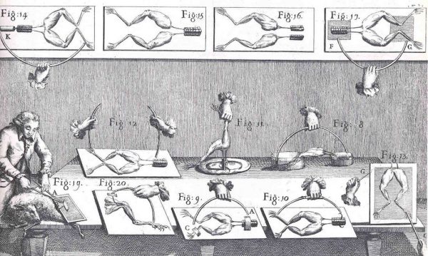 Experimentos con ranas de Galvani